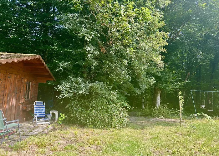 La Foret - Jardin, Foret De Fontainebleau