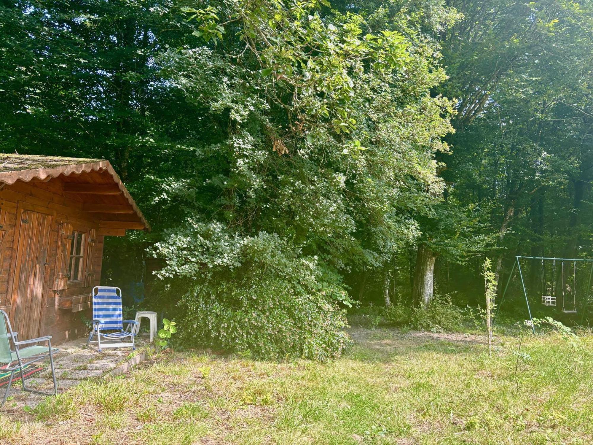 Appartement La Foret - Jardin, Foret De Fontainebleau Bois-le-Roi (Seine-et-Marne)