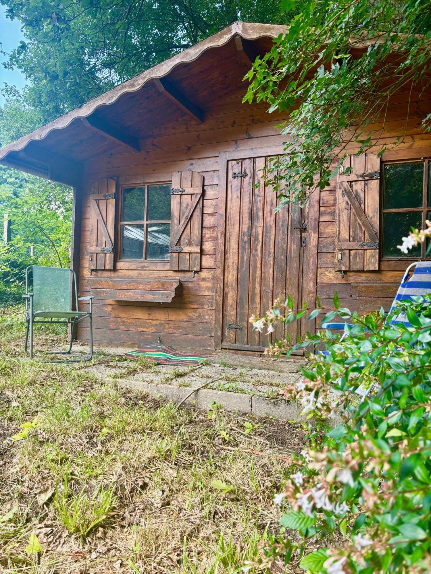 Appartement La Foret - Jardin, Foret De Fontainebleau Bois-le-Roi (Seine-et-Marne)